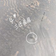 云南曲靖市某防渗工程检测项目